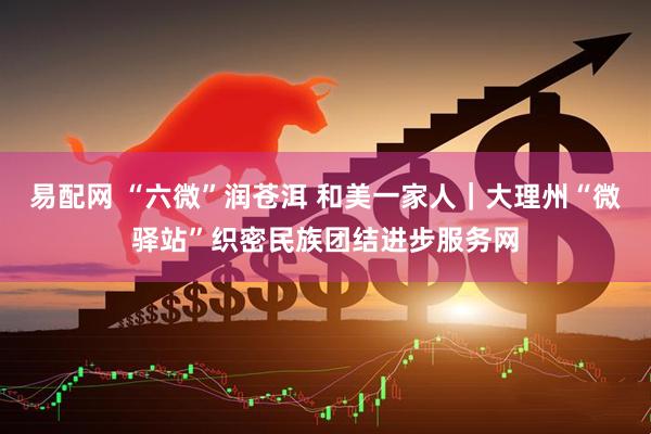 易配网 “六微”润苍洱 和美一家人｜大理州“微驿站”织密民族团结进步服务网