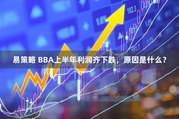 易策略 BBA上半年利润齐下跌,原因是什么?