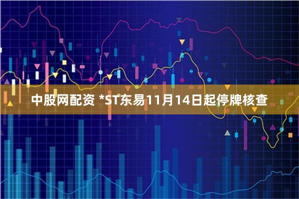 中股网配资 *ST东易11月14日起停牌核查